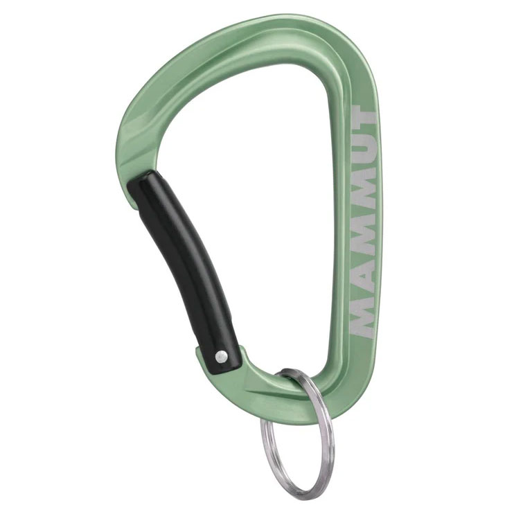 karabínka MAMMUT Mini Carabiner WORKHORSE Keylock L Jade