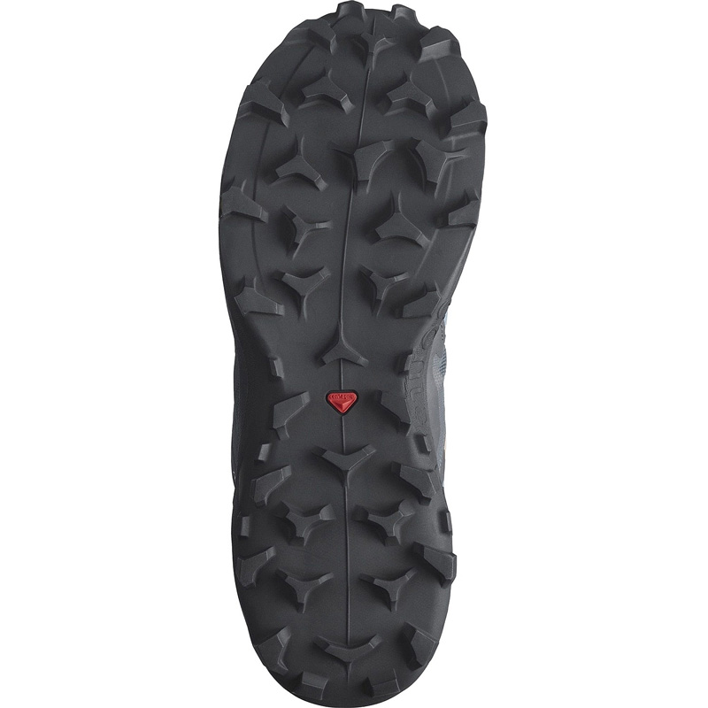 obuv SALOMON WILDCROSS 2 W GTX Bluestone/Ebony/Sirocco