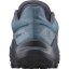 obuv SALOMON WILDCROSS 2 W GTX Bluestone/Ebony/Sirocco