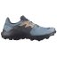 obuv SALOMON WILDCROSS 2 W GTX Bluestone/Ebony/Sirocco