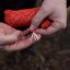 šňůra GEAR AID HEAVY DUTY 550 PARACORD 4mm 9m Reflective Orange
