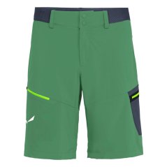 šortky SALEWA Pedroc Cargo 2 DST M Shorts Myrtle