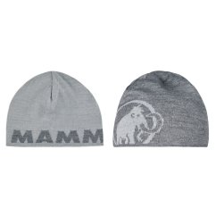 čiapka MAMMUT LOGO Beanie Platinum-Alloy