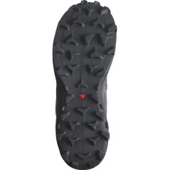 obuv SALOMON WILDCROSS 2 W GTX Bluestone/Ebony/Sirocco