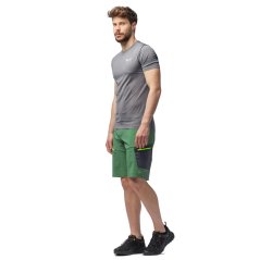 šortky SALEWA Pedroc Cargo 2 DST M Shorts Myrtle