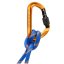 karabina MAMMUT SENDER ScrewGate Gold