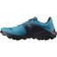 boty SALOMON WILDCROSS 2 GTX Barrier Reef/Black/Mallard Blue