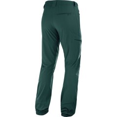 kalhoty SALOMON Wayfarer Alpine Pant M Green Gables