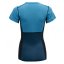 tričko DEVOLD LAUPAREN Merino 190 T-Shirt Woman Moon/Ink/Flood