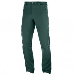 kalhoty SALOMON Wayfarer Alpine Pant M Green Gables