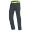 kalhoty DIRECT ALPINE JOSHUA TOP 1.0 Anthracite/Lime