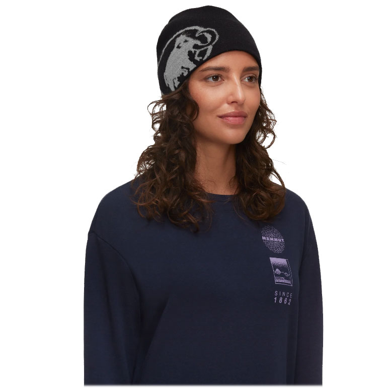 čiapka MAMMUT TWEAK Beanie Black-Steel