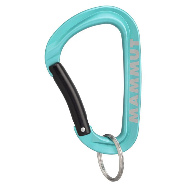 karabínka MAMMUT Mini Carabiner WORKHORSE Keylock L Turquoise